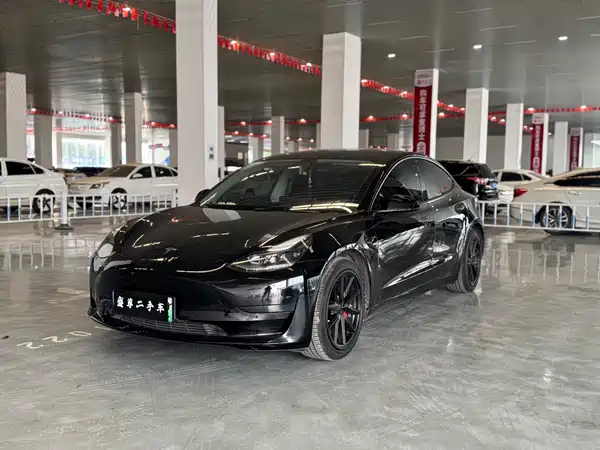 Tesla Model 3 2021