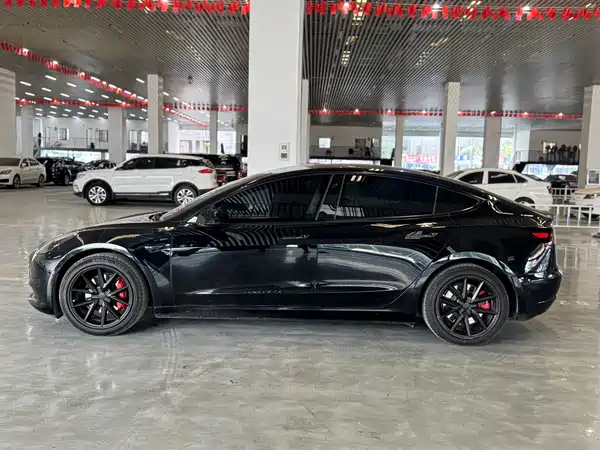 Tesla Model 3 2021