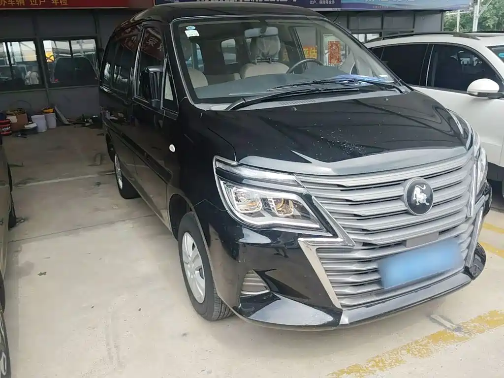 Fengxing Lingzhi 2024