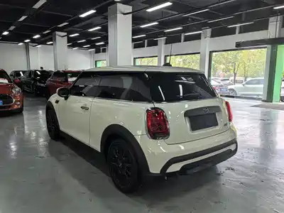 MINI MINI 2022
