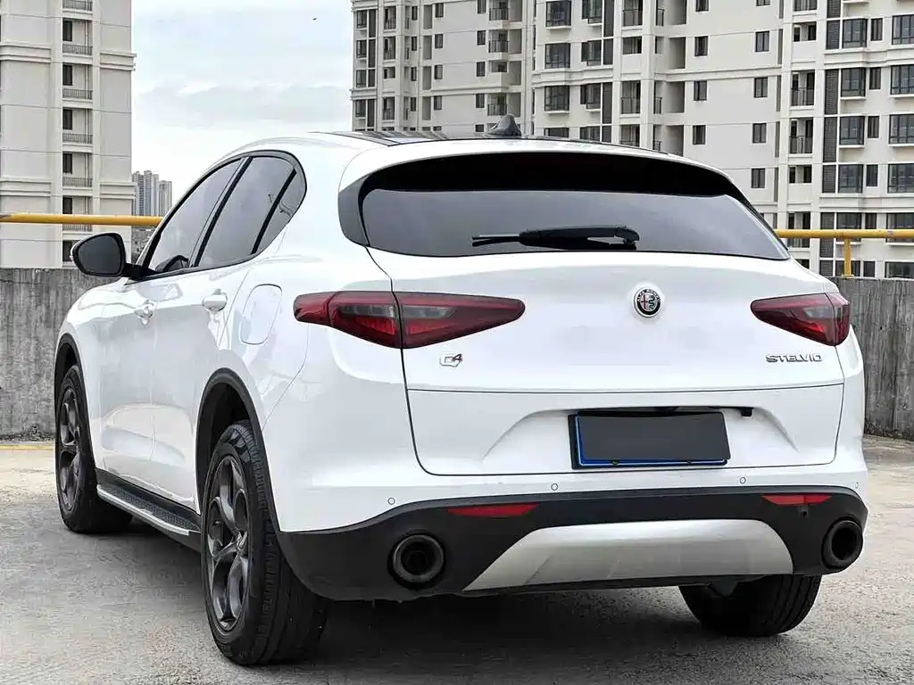 Alfa Romeo Stelvio 2019 — фото 6