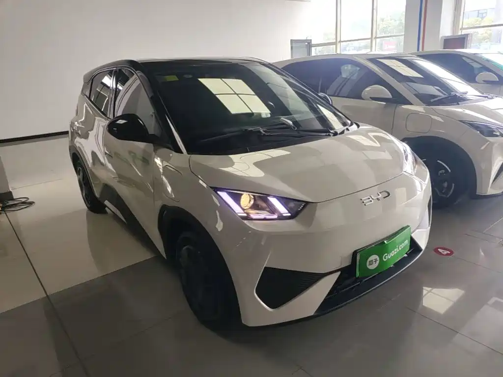 BYD Seagull 2025