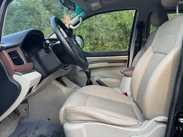 Dongfeng Lingzhi 2020