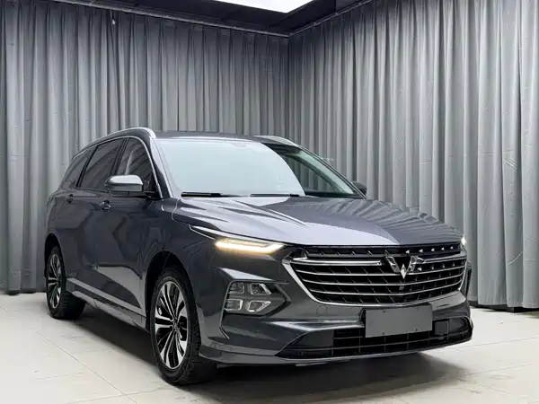 Wuling Victory 2022