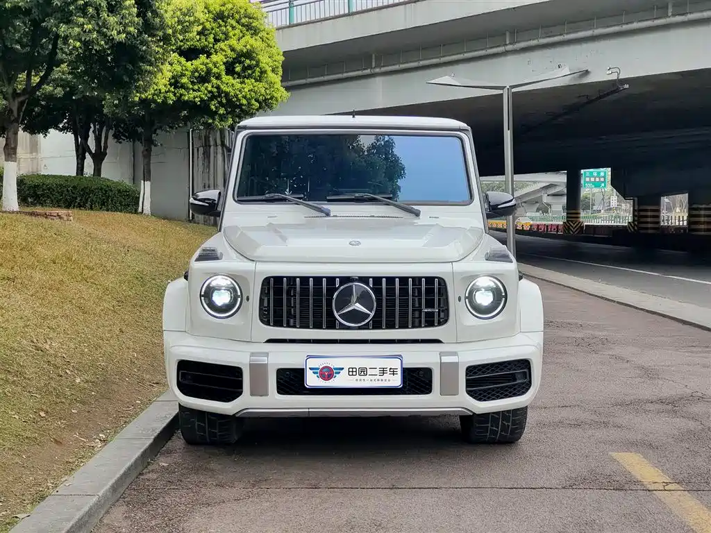 Mercedes-Benz G-Class 2017 — фото 2