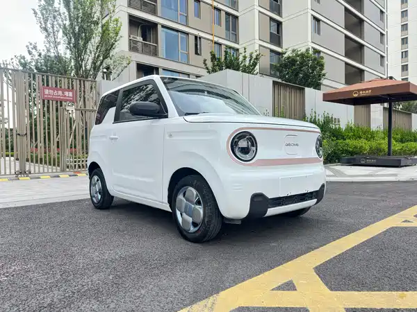 Geely Galaxy Panda 2024