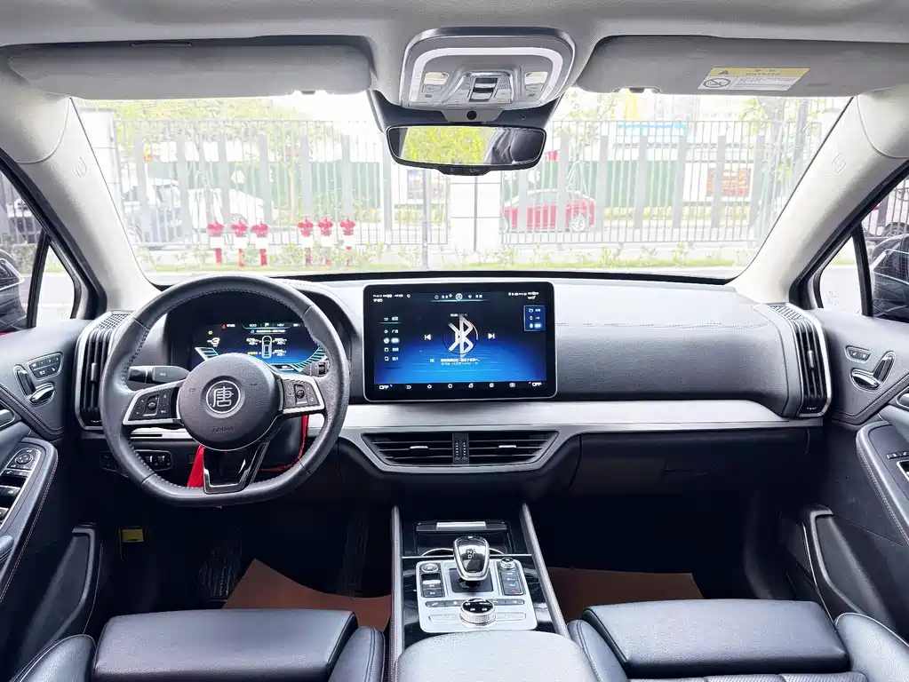 BYD Tang New Energy 2019 — фото 10
