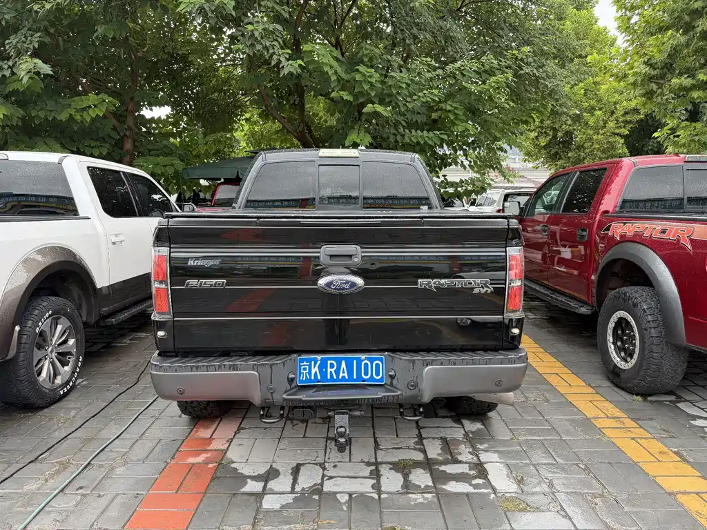 Ford F-150 Raptor 2015 — фото 4