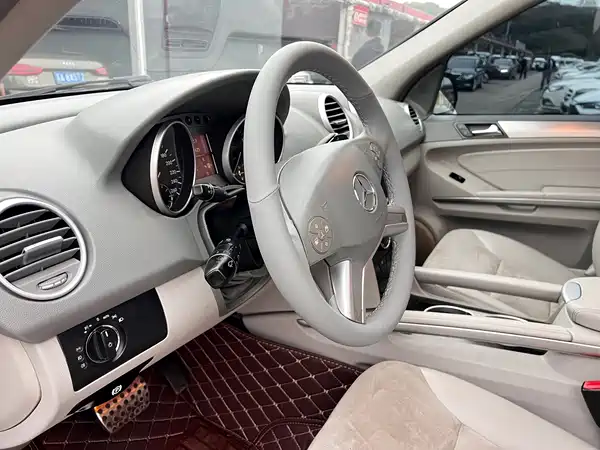 Mercedes-Benz M-Class 2010
