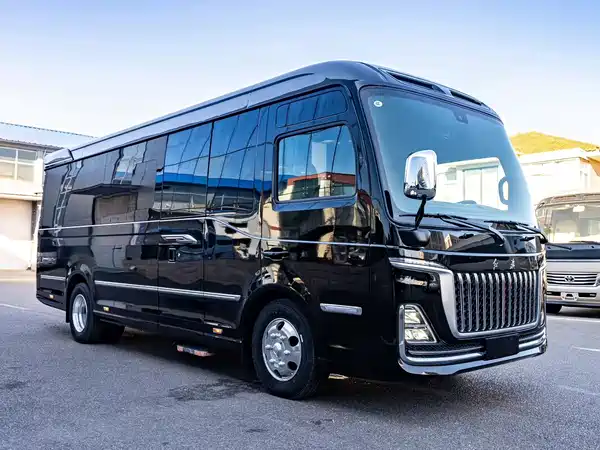 Hongqi Golden Sunflower 2024