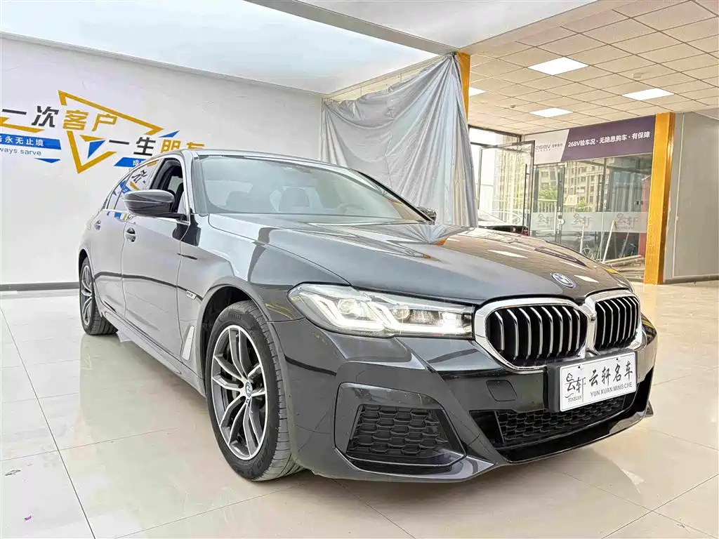 BMW 5 Series New Energy 2022