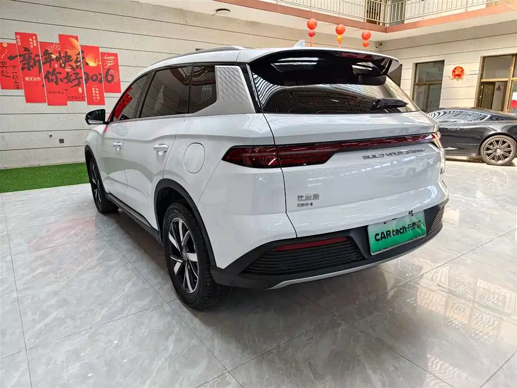 BYD Pro New Energy 2024 — фото 6