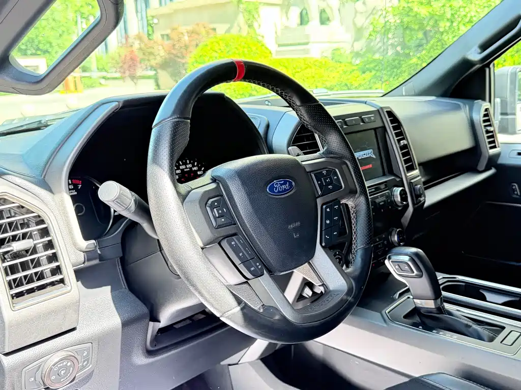 Ford F-150 Raptor 2020 — фото 29