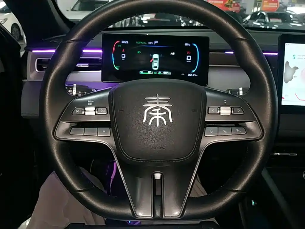 BYD Qin PLUS 2025 — фото 11