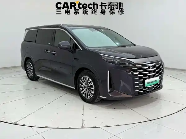 BYD Summer 2025