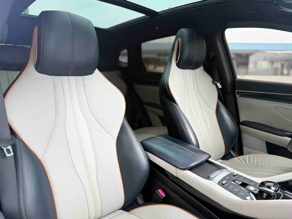 BYD PLUS New Energy 2022 — фото 11