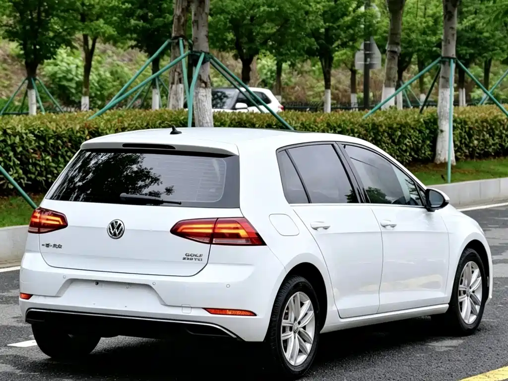 Volkswagen Golf 2019 — фото 12