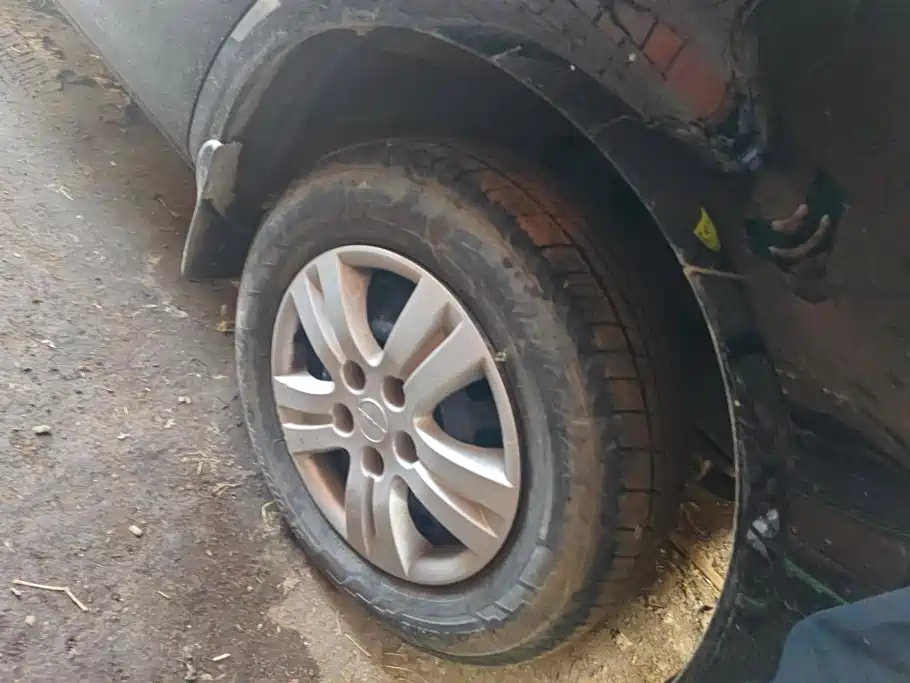 Dongfeng Lingzhi 2022