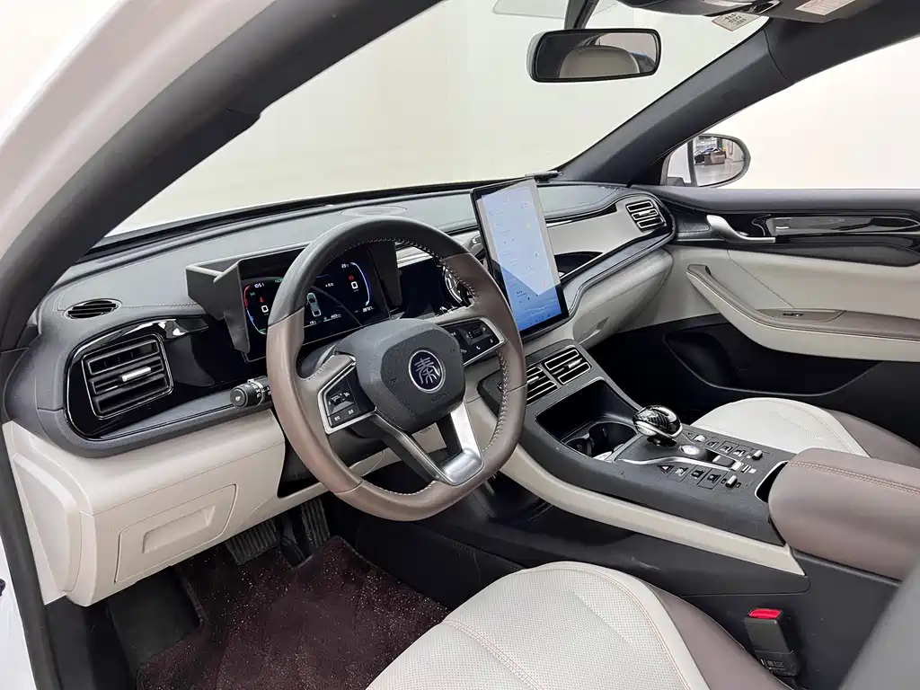 BYD Qin PLUS 2024 — фото 14