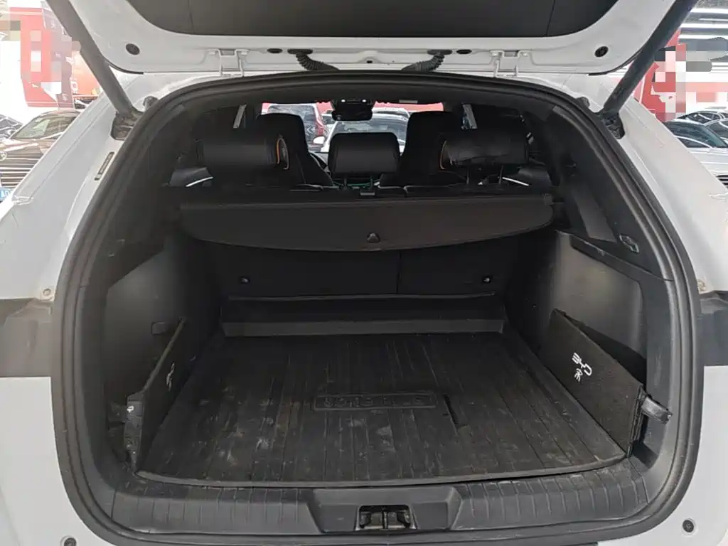BYD PLUS New Energy 2023 — фото 15