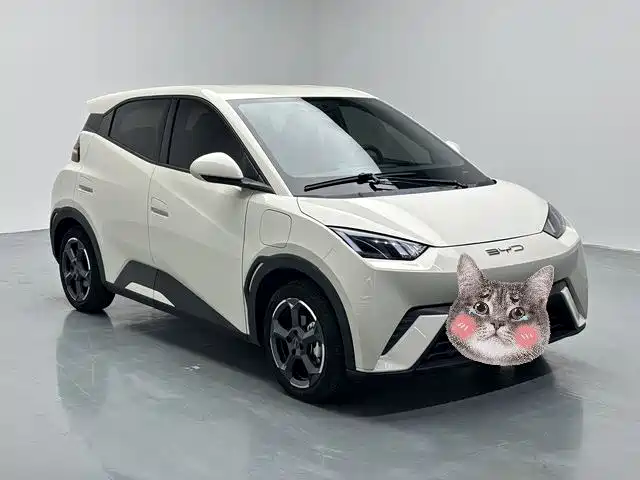 BYD Seagull 2023 — фото 3