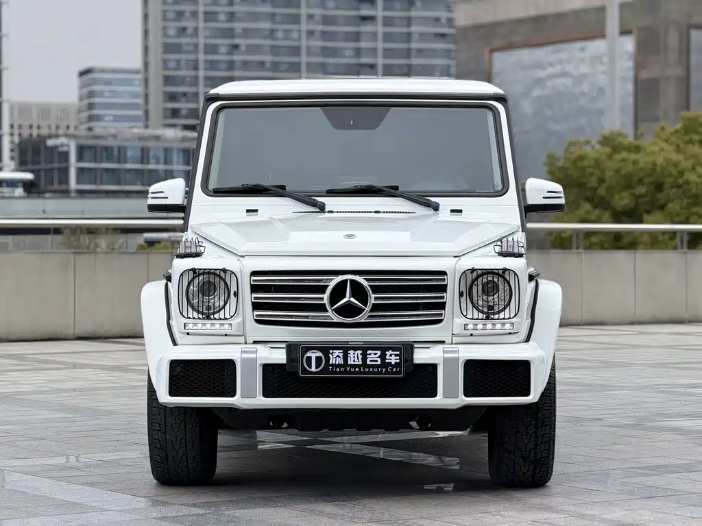 Mercedes-Benz G-Class 2018 — фото 2