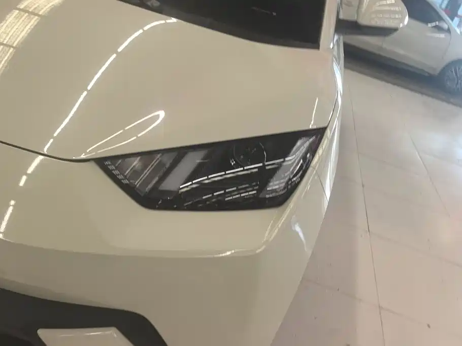 BYD Seagull 2024