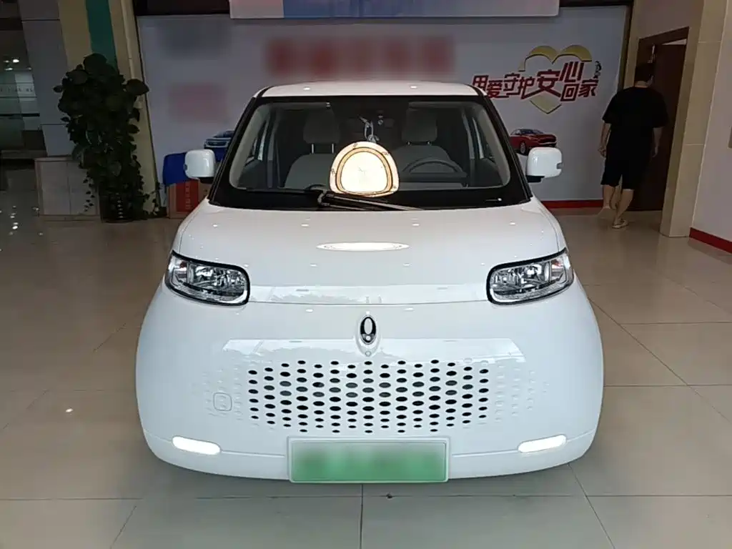 Ora White Cat 2022