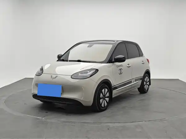 Wuling Bingo 2024