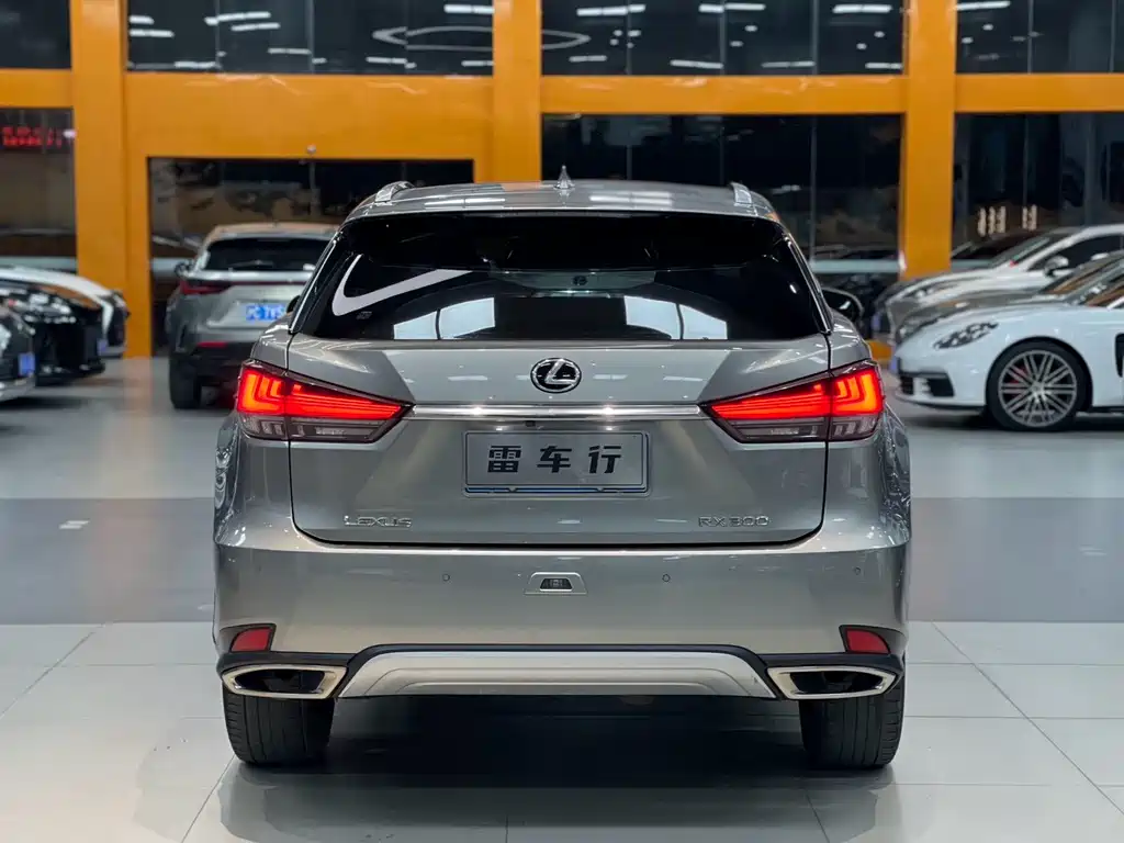 Lexus RX 2020 — фото 12
