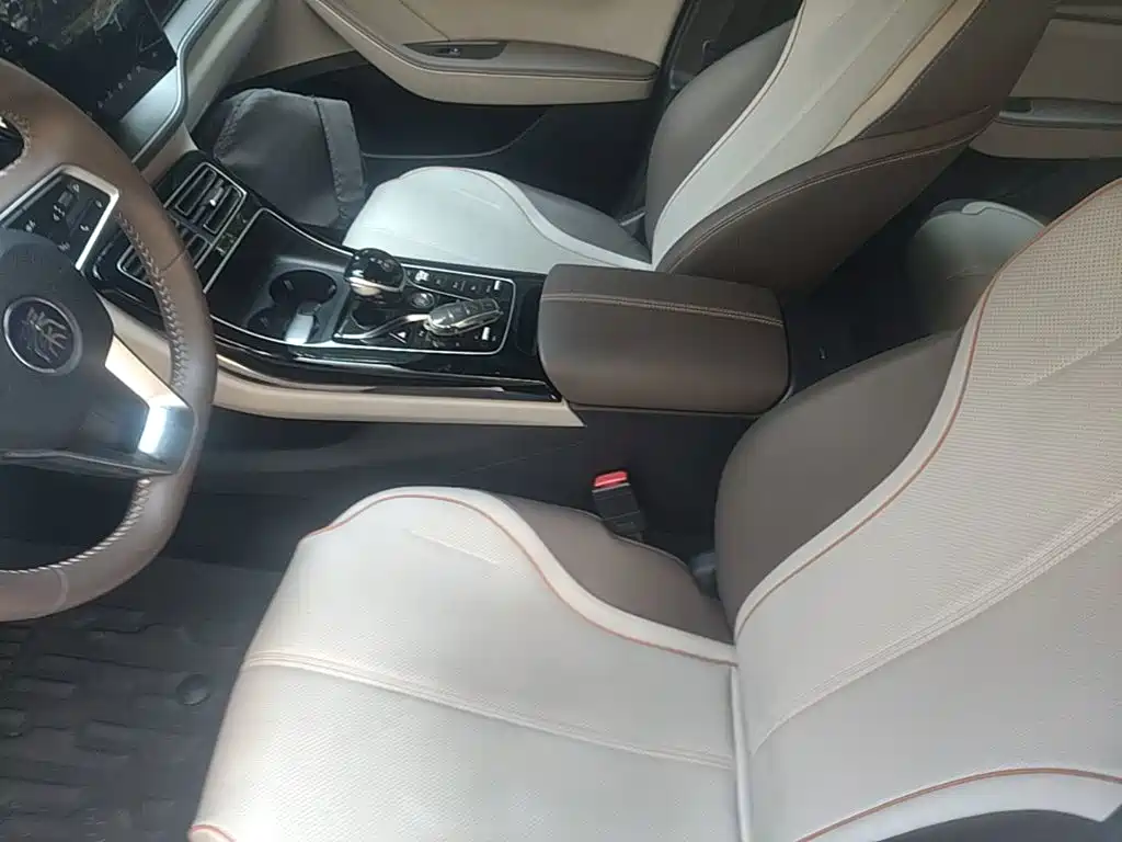 BYD Qin PLUS 2024 — фото 15