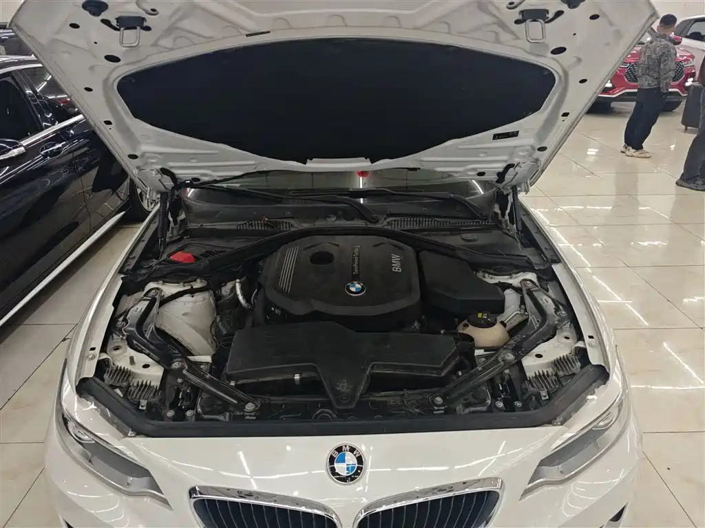 BMW 2 Series 2016 — фото 20