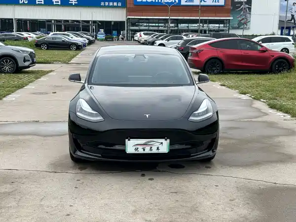 Tesla Model 3 2020