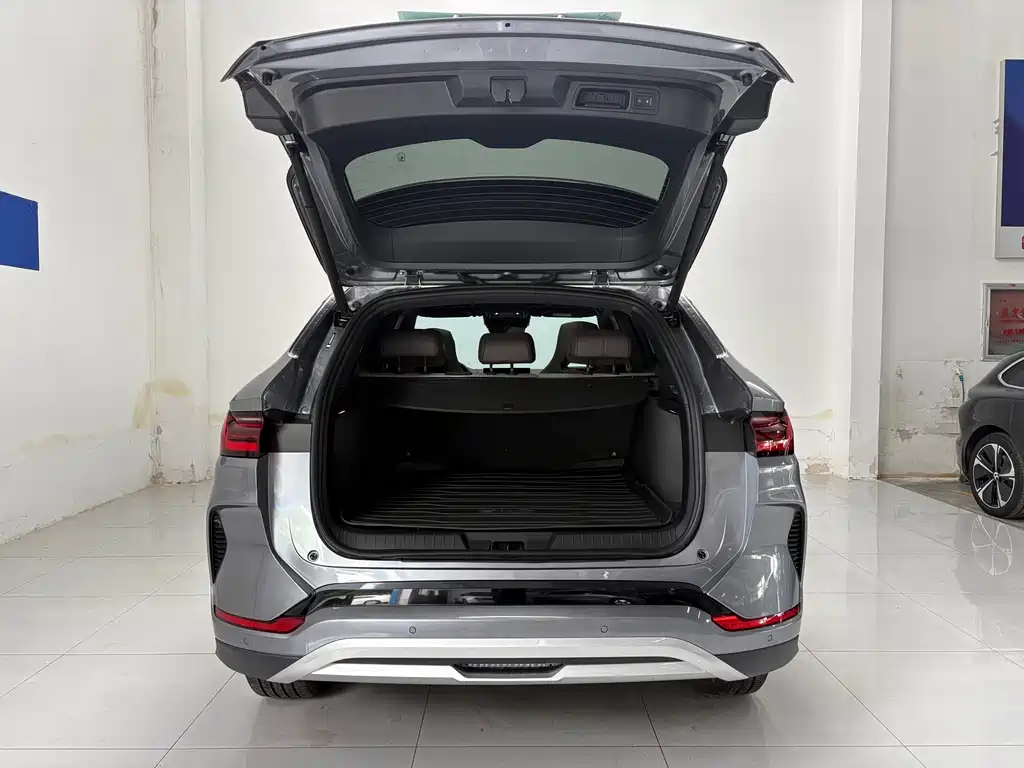 BYD PLUS New Energy 2024 — фото 20