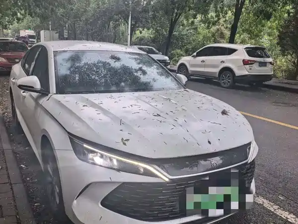 BYD Qin L 2024