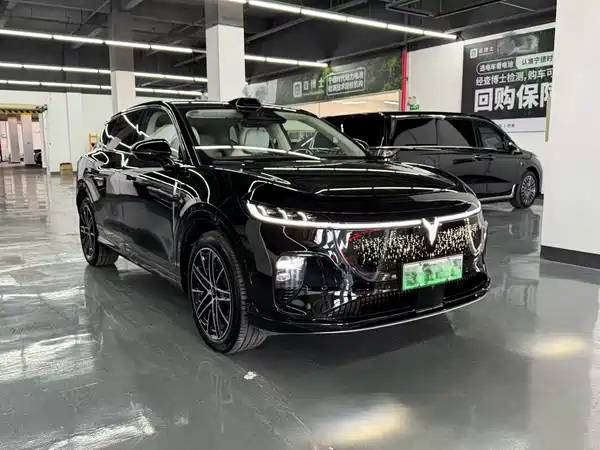 Voyah Zhiyin 2025