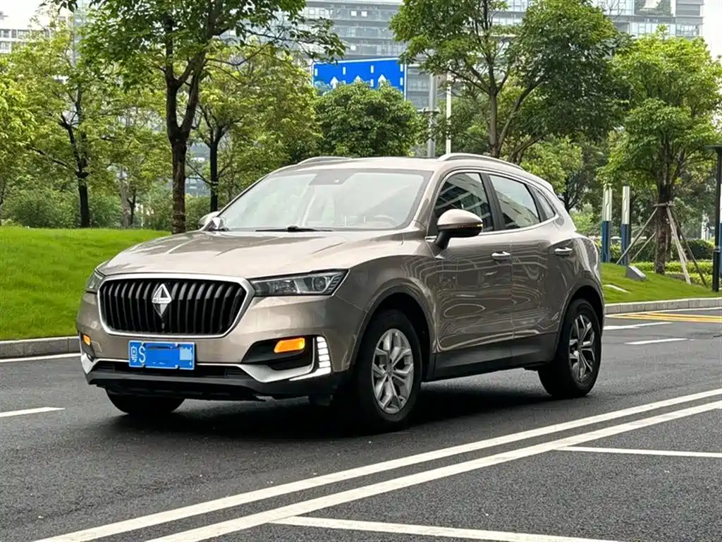 Borgward BX5 2019