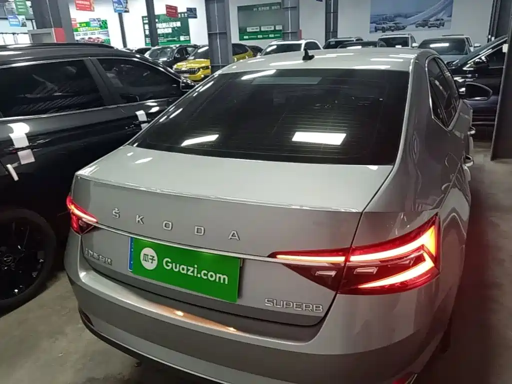 Skoda Speedy 2024