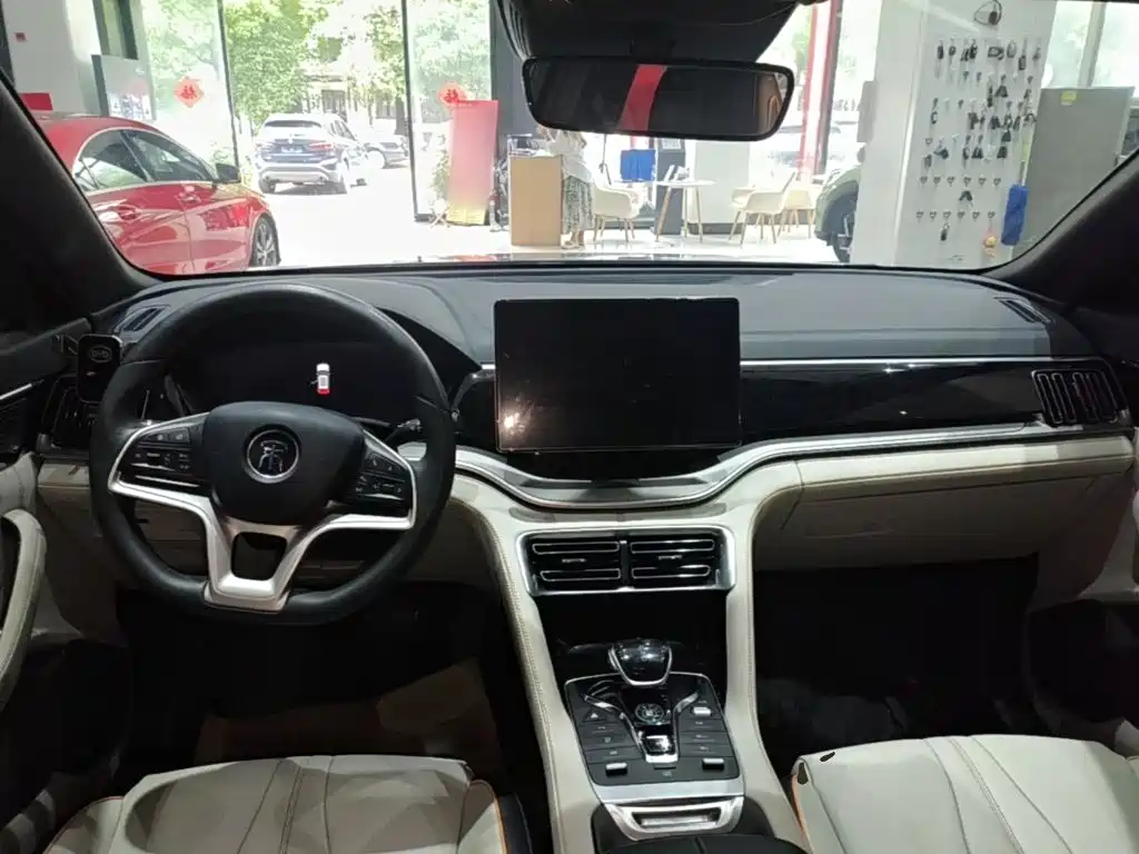 BYD PLUS New Energy 2021 — фото 10