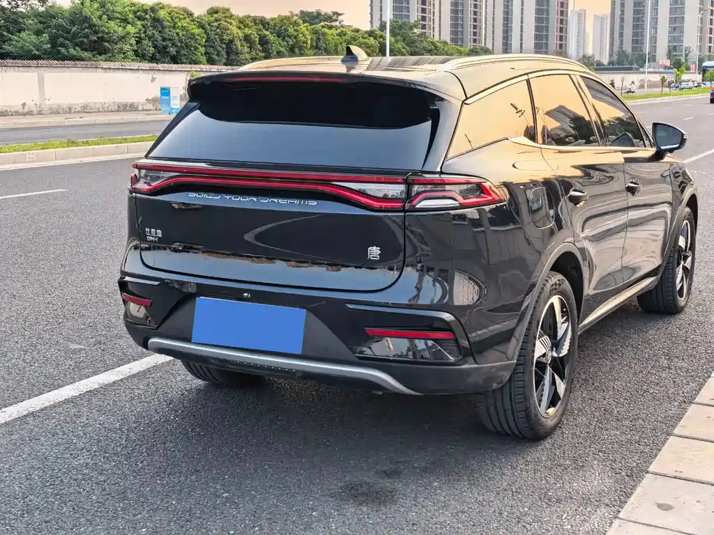 BYD Tang New Energy 2024 — фото 26