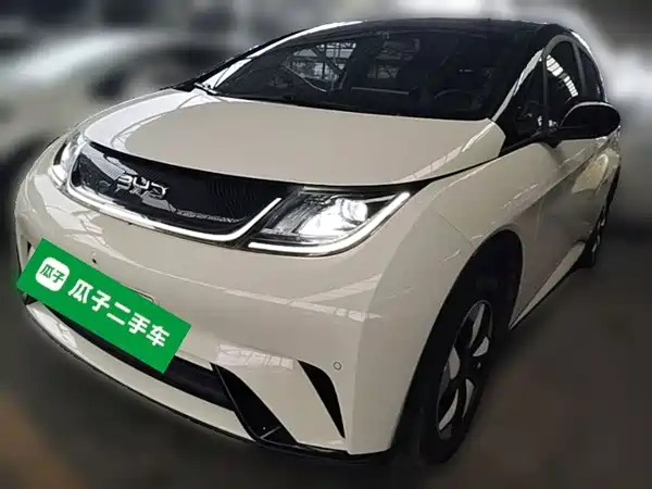 BYD Dolphin 2024