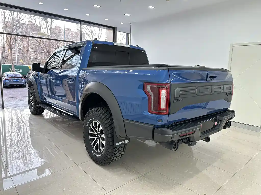 Ford F-150 Raptor 2020 — фото 19