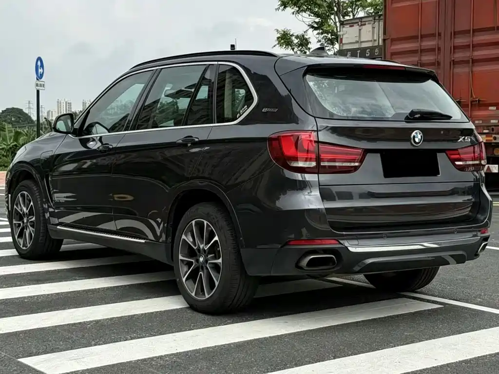 BMW X5 New Energy 2018 — фото 8