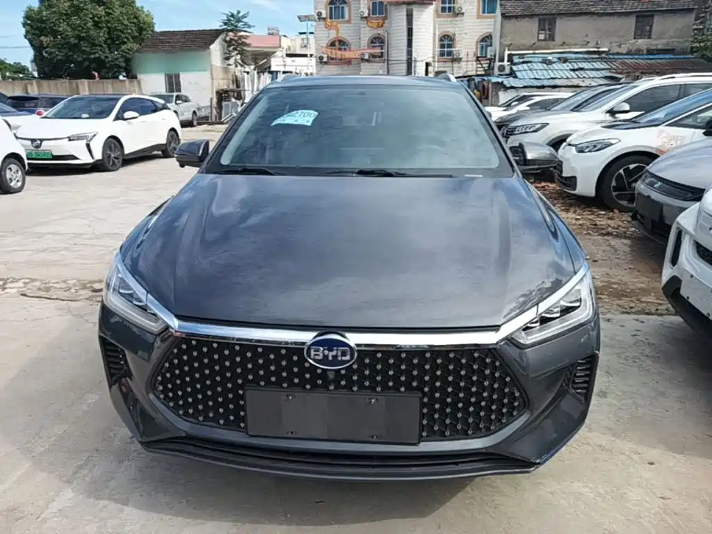 BYD e2 2021