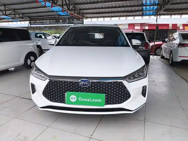 BYD e2 2020