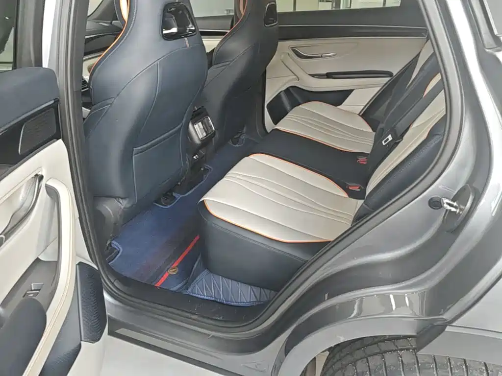 BYD PLUS New Energy 2023 — фото 17