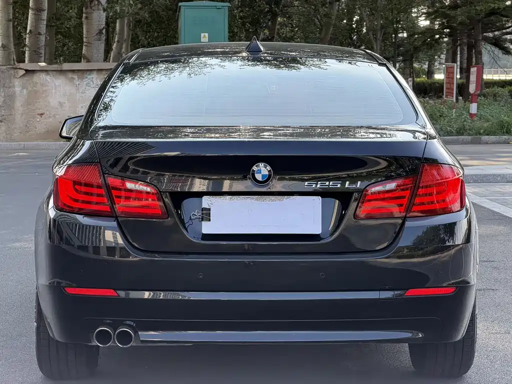 BMW 5 Series 2013
