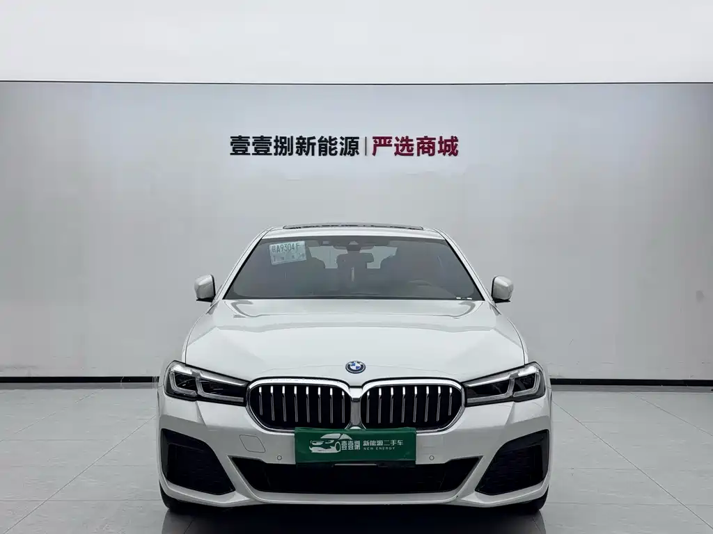 BMW 5 Series New Energy 2022