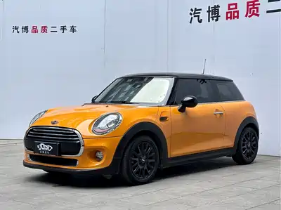 MINI MINI 2015
