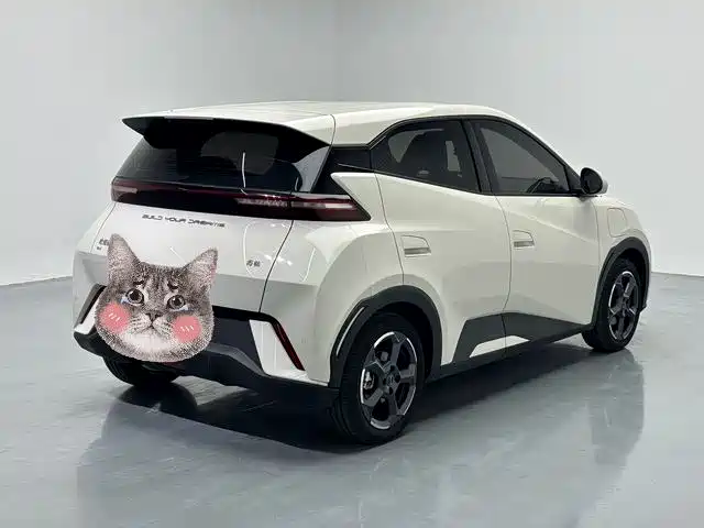 BYD Seagull 2023 — фото 18